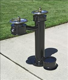 2010-08 Accessible Drinking Fountain with Pet Bowl